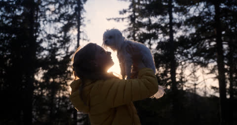 Salto, Pus & bucketlisten