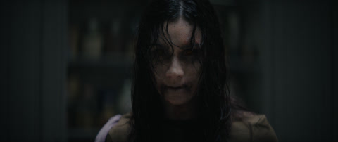 Evil Dead Burn