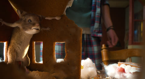 Hvis ingen går i fella